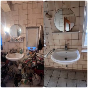 WC nach professioneller Reinigung
