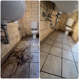 Gereinigtes WC und Waschbecken