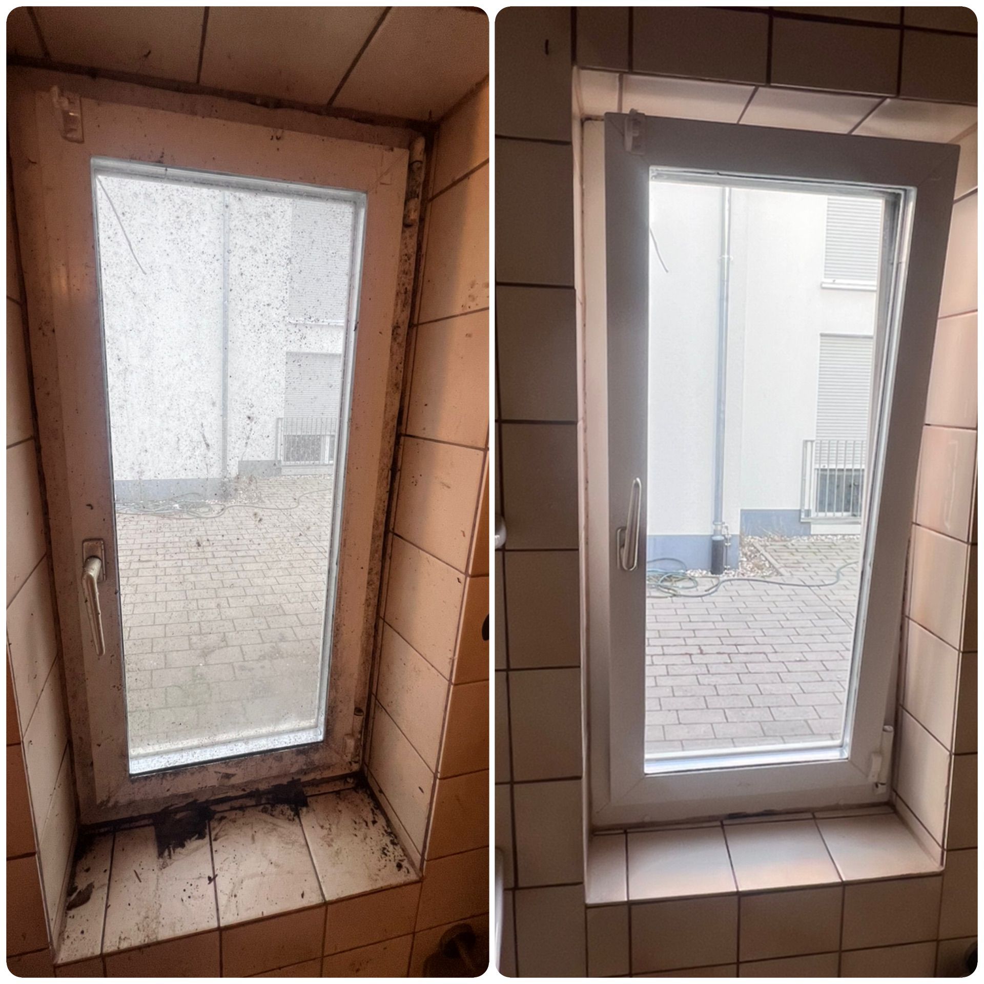 Fenster- & Flächenreinigung